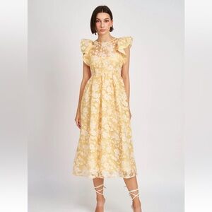 En saison Marais Anthropolgie Midi Dress Size Medium